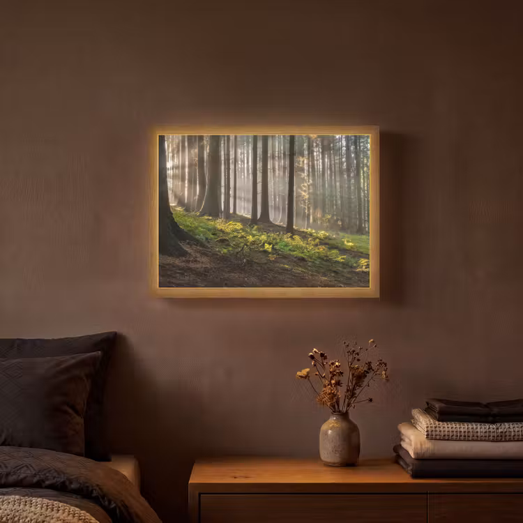 Zon - Takken - Bomen - Bos - Natuur Light Box met batterij (Wandlamp) middel -sfeer4