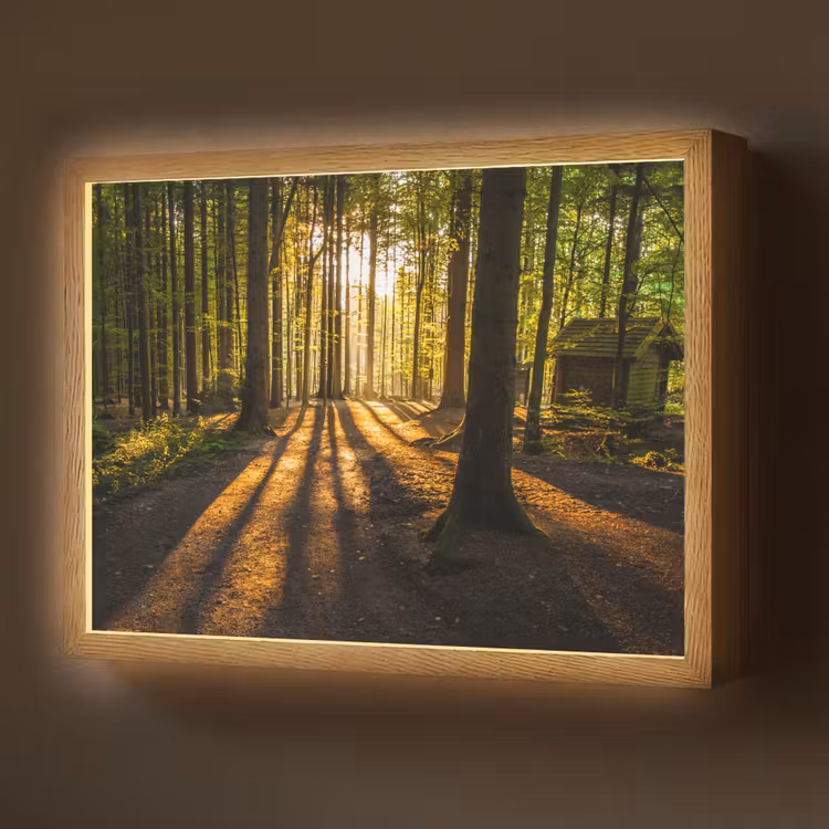 Zon - Bomen - Bos - Landschap - Natuur Light Box met batterij (Wandlamp) middel -z3d_website