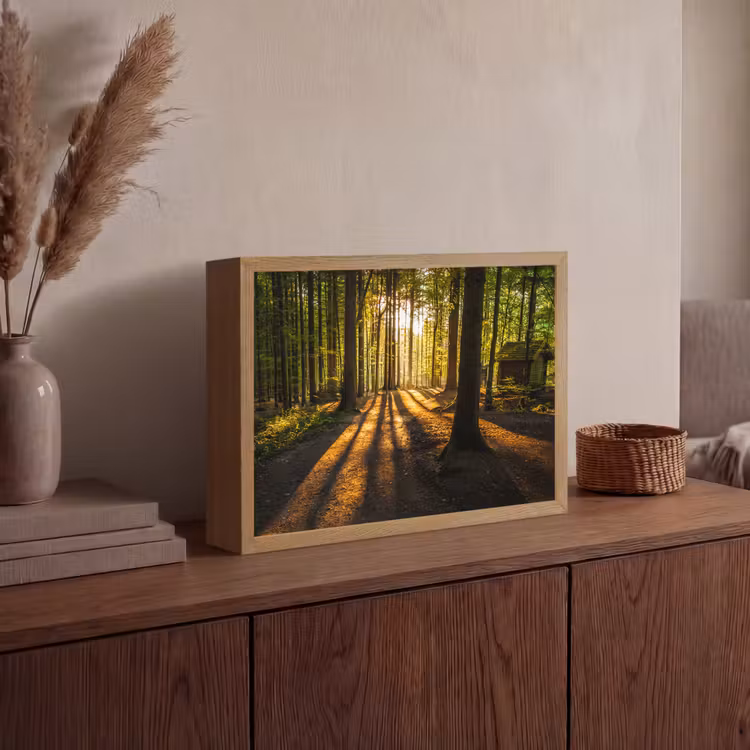 Zon - Bomen - Bos - Landschap - Natuur Light Box met batterij (Wandlamp) middel -sfeer2