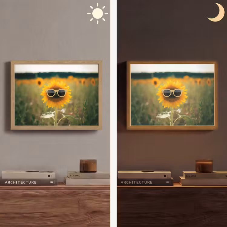 Zonnebloem - Veld - Zonnebril Light Box met batterij (Wandlamp) middel -sfeer3