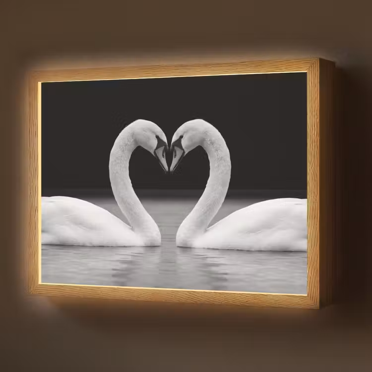 Zwanen - Hart - Zwart - Wit Light Box met batterij (Wandlamp) middel -z3d_website