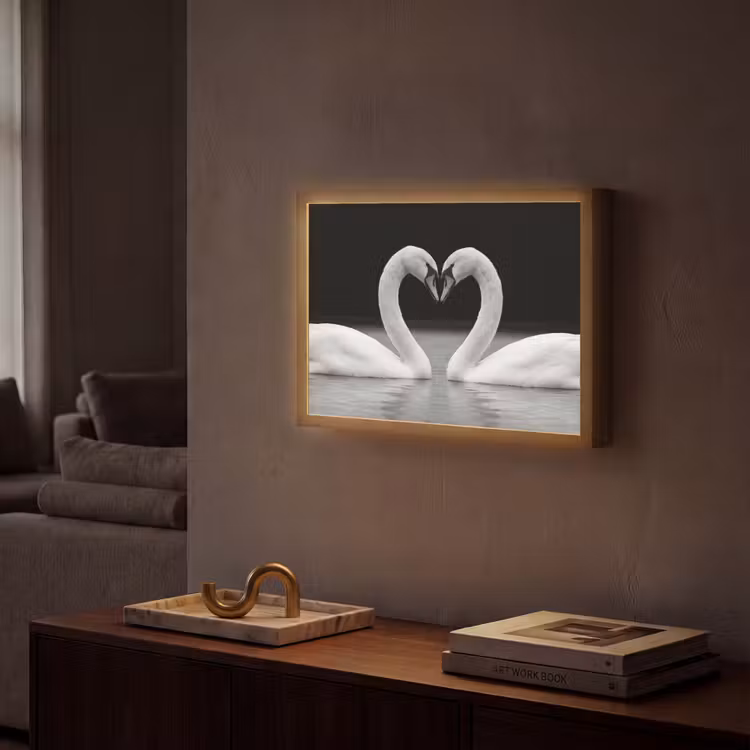 Zwanen - Hart - Zwart - Wit Light Box met batterij (Wandlamp) middel -sfeer1