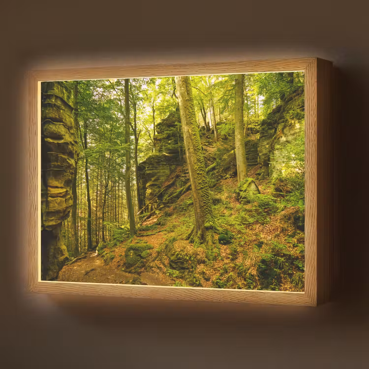 Bomen - Steen - Bos - Natuur - Planten Light Box met batterij (Wandlamp) middel -z3d_website