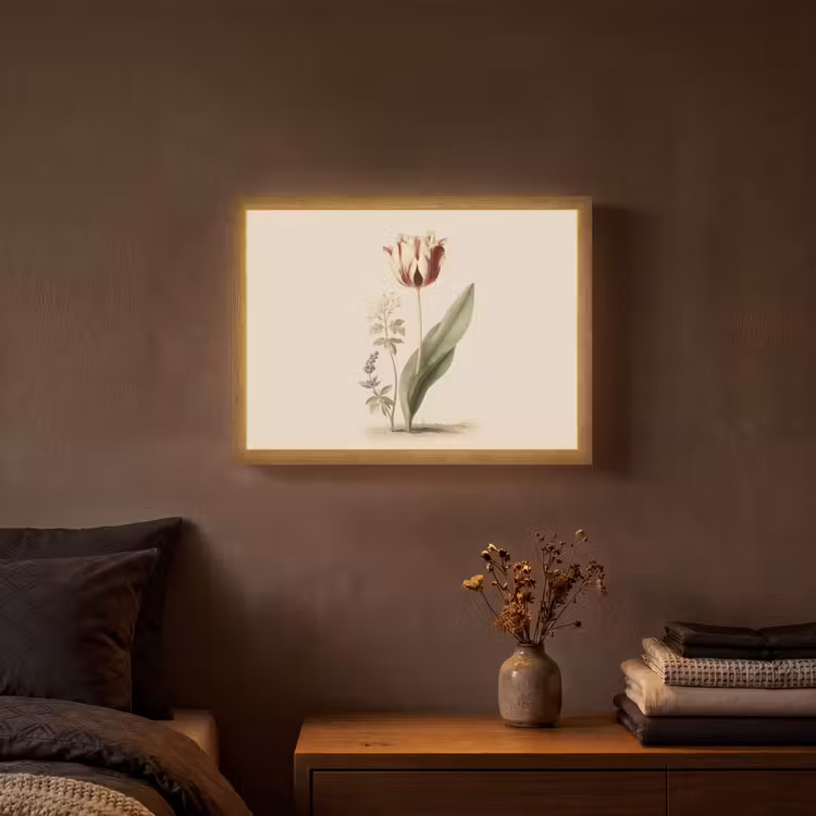 Tulp - Minimalistisch - Beige Light Box met batterij (Wandlamp) middel -sfeer4
