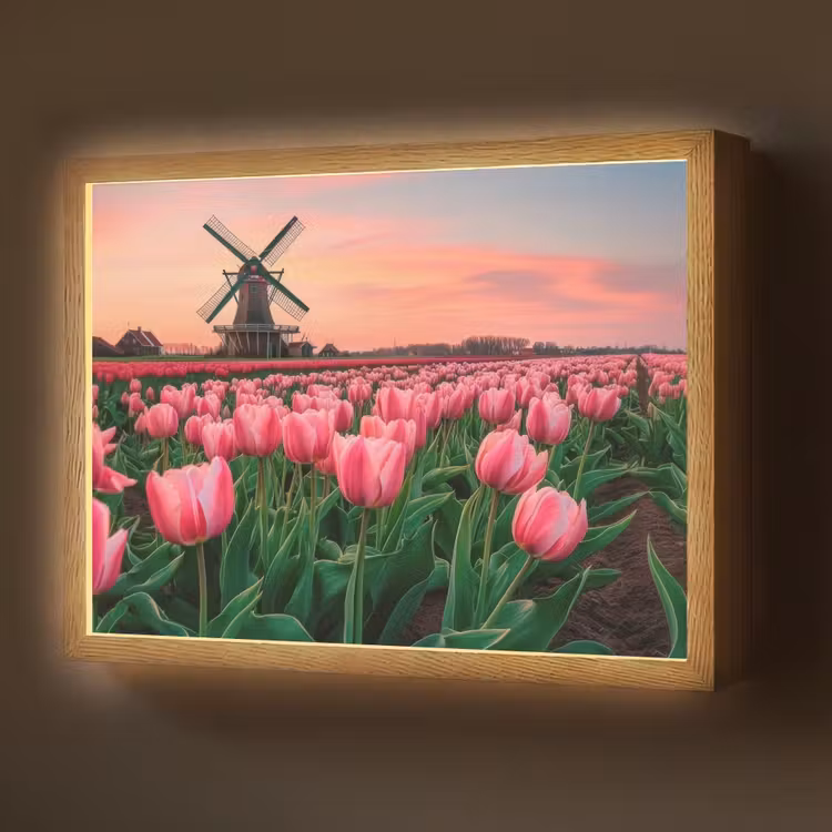 Tulpen - Molen - Nederland Light Box met batterij (Wandlamp) middel -z3d_website