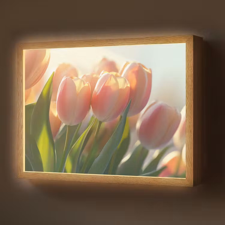 Tulpen - Roze - Zonnestralen Light Box met batterij (Wandlamp) middel -z3d_website