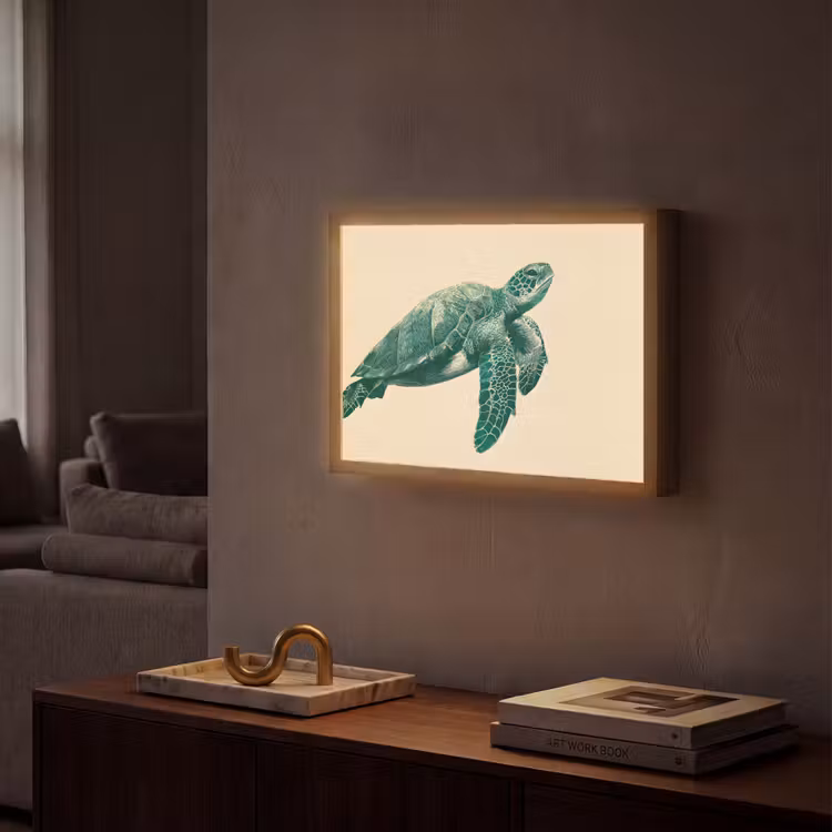 Schildpad - Sierlijk - Groen - Schild Light Box met batterij (Wandlamp) middel -sfeer1