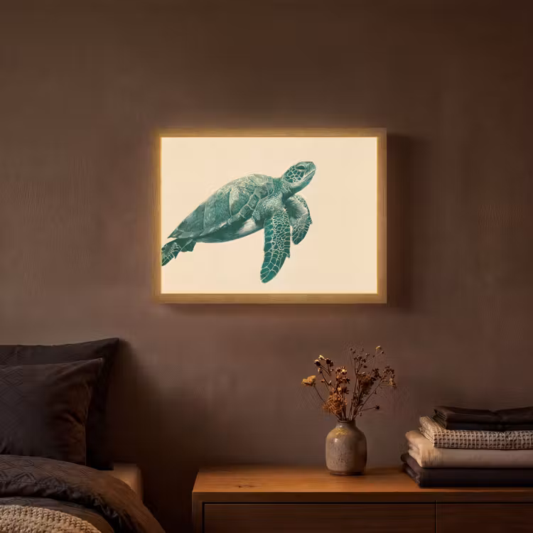 Schildpad - Sierlijk - Groen - Schild Light Box met batterij (Wandlamp) middel -sfeer4