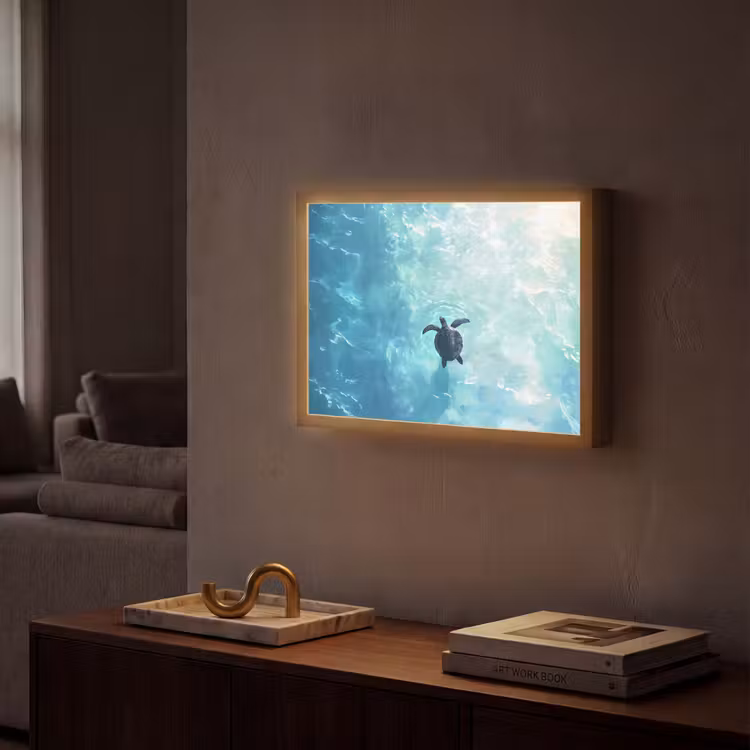 Schildpad - Zee - Blauw - Schittering Light Box met batterij (Wandlamp) middel -sfeer1