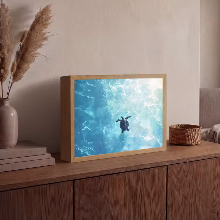 Schildpad - Zee - Blauw - Schittering Light Box met batterij (Wandlamp) middel -sfeer2