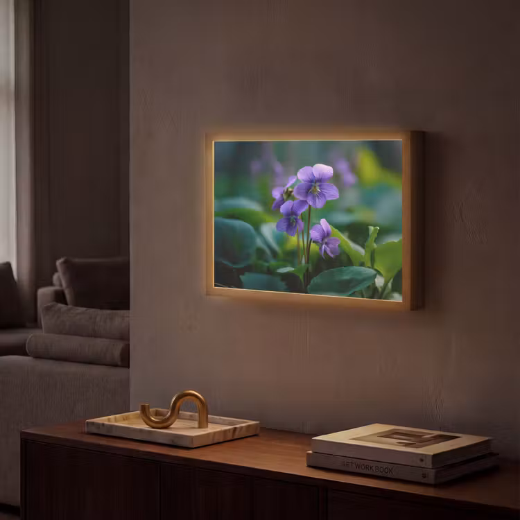 Viooltjes - Paars - Bloem - Bladeren Light Box met batterij (Wandlamp) middel -sfeer1