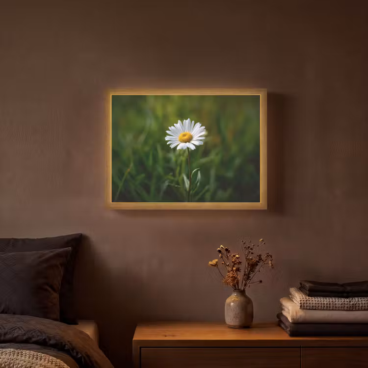 Wit - Madeliefje - Bloem - Gras Light Box met batterij (Wandlamp) middel -sfeer4