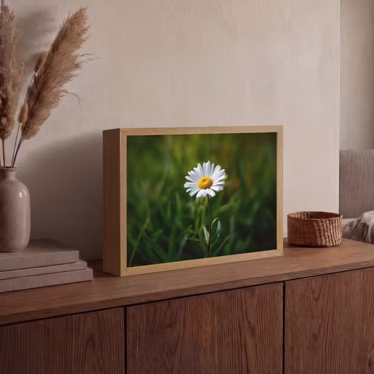 Wit - Madeliefje - Bloem - Gras Light Box met batterij (Wandlamp) middel -sfeer2