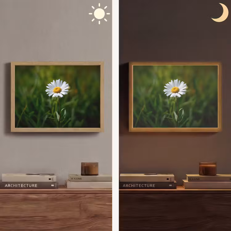 Wit - Madeliefje - Bloem - Gras Light Box met batterij (Wandlamp) middel -sfeer3