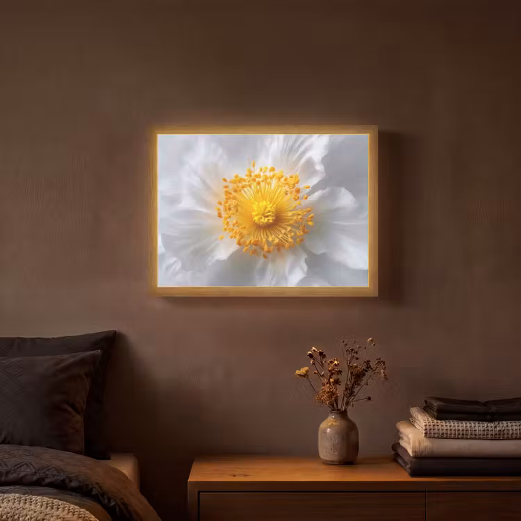 Wit - Bloem - Elegant Light Box met batterij (Wandlamp) middel -sfeer4