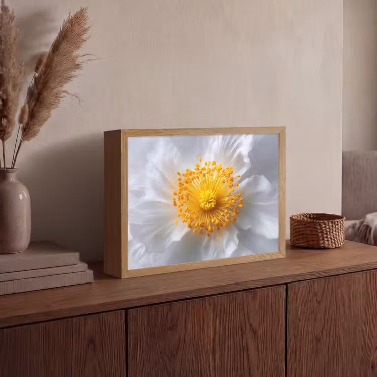Wit - Bloem - Elegant Light Box met batterij (Wandlamp) middel -sfeer2