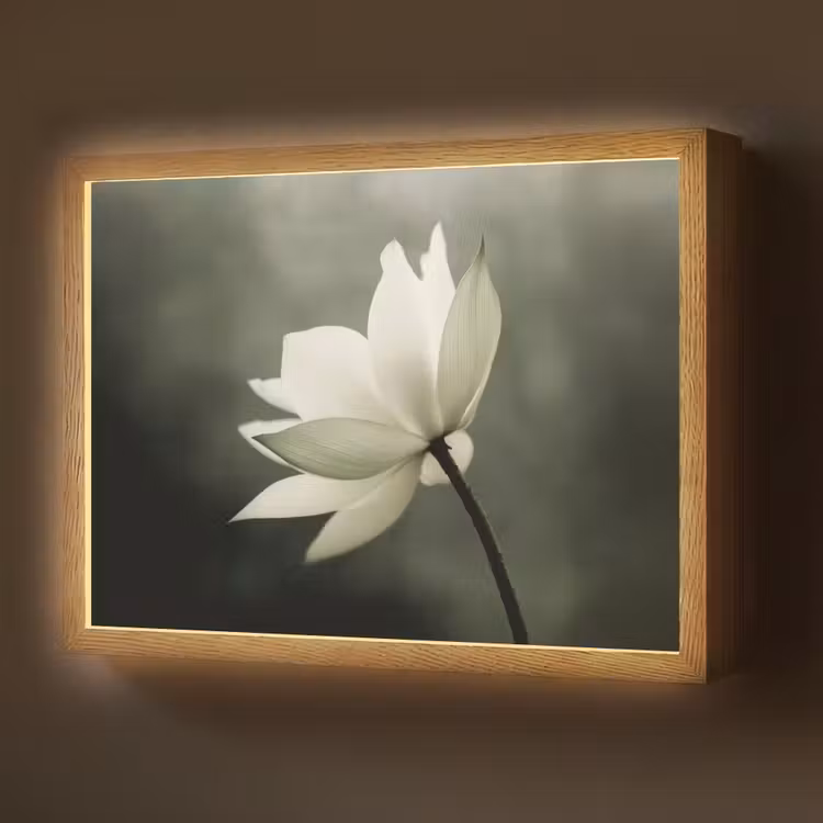 Wit - Lotus - Donker - Bloem Light Box met batterij (Wandlamp) middel -z3d_website