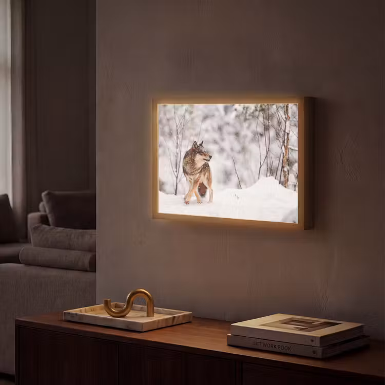 Wolf - Winter - Sneeuw - Natuur - Dieren Light Box met batterij (Wandlamp) middel -sfeer1