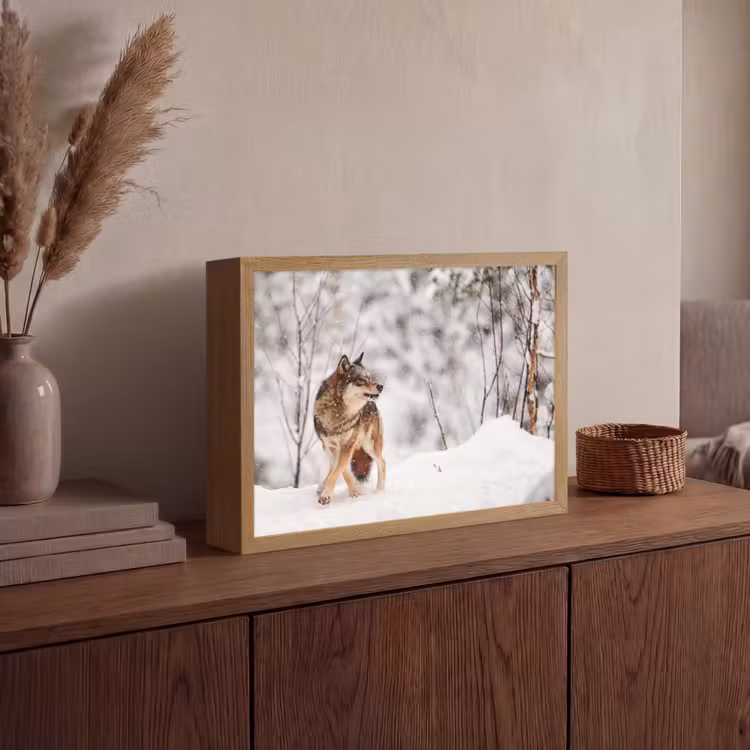 Wolf - Winter - Sneeuw - Natuur - Dieren Light Box met batterij (Wandlamp) middel -sfeer2