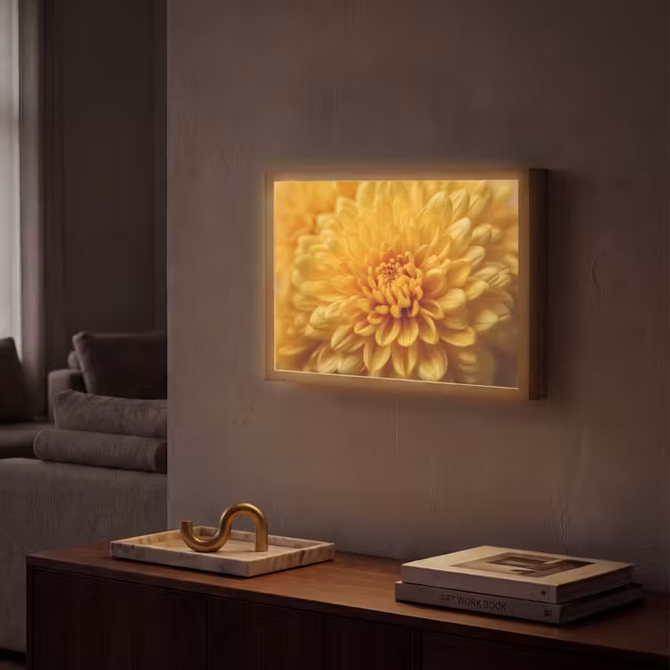 Geel - Chrysant - Zachtheid Light Box met batterij (Wandlamp) middel -sfeer1