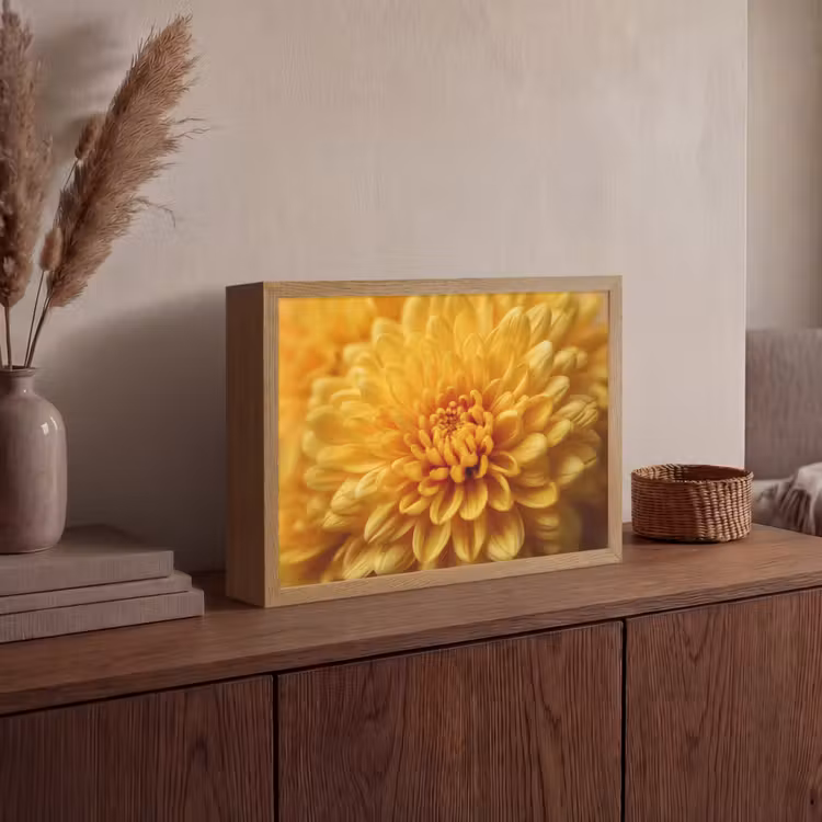 Geel - Chrysant - Zachtheid Light Box met batterij (Wandlamp) middel -sfeer2