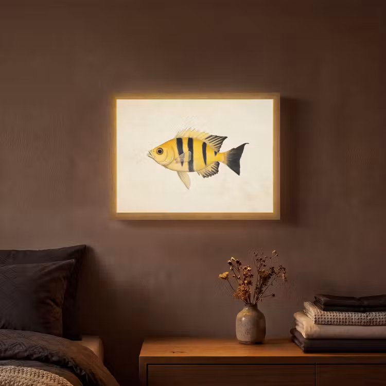 Geel - Vis - Strepen - Tropisch Light Box met batterij (Wandlamp) middel -sfeer4
