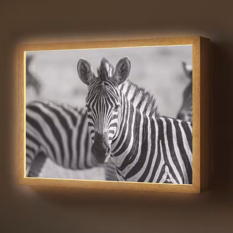 Zebra's - Zwart - Wit Light Box met batterij (Wandlamp) middel -z3d_website
