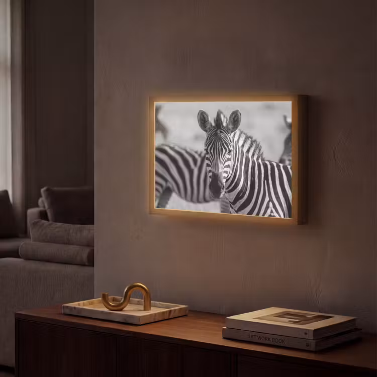 Zebra's - Zwart - Wit Light Box met batterij (Wandlamp) middel -sfeer1