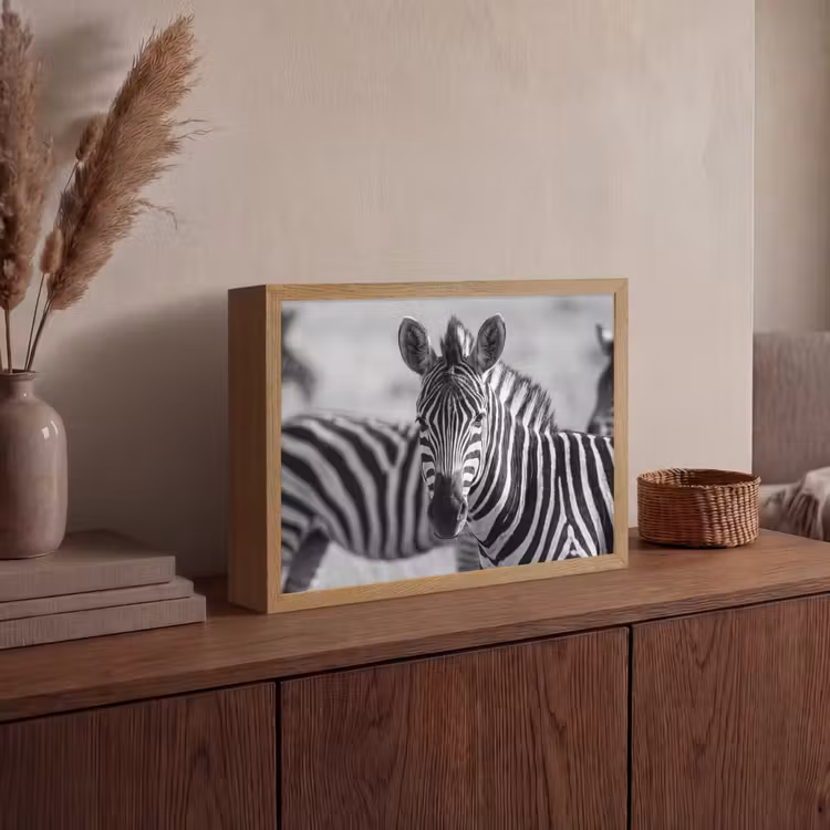 Zebra's - Zwart - Wit Light Box met batterij (Wandlamp) middel -sfeer2