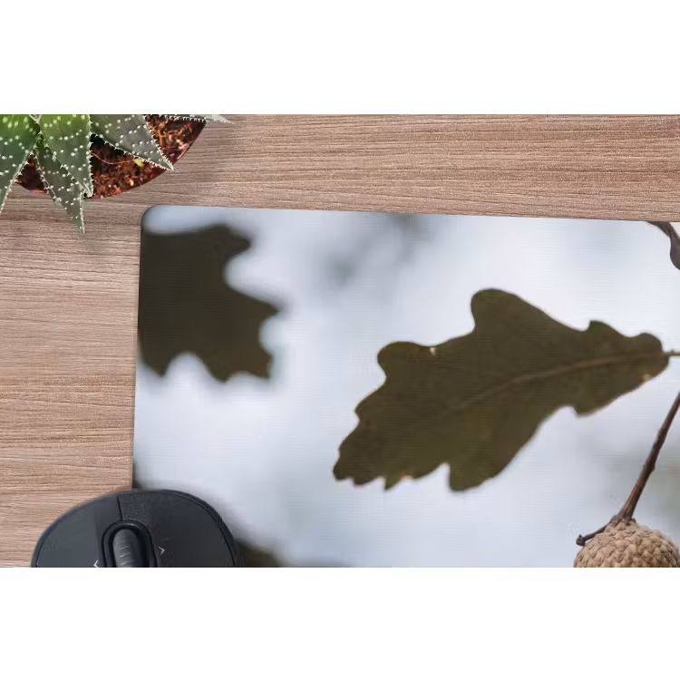 Eikel - Eikenblad - Bos - Herfst - Natuur muismat rubber klein -closeup