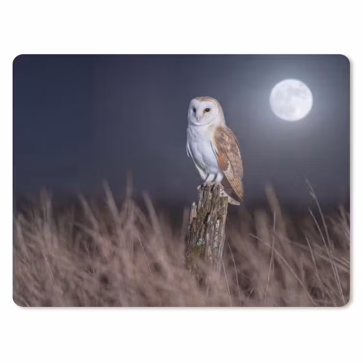 Kerkuil - Maan - Nacht muismat rubber klein -3d