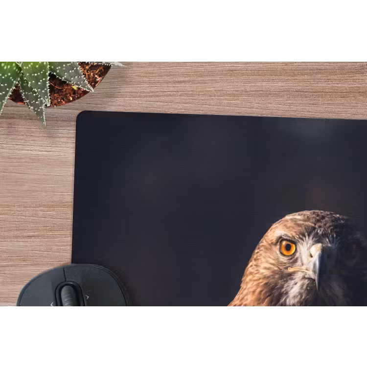 Roofvogel - Buizerd - Bruin muismat rubber klein -closeup