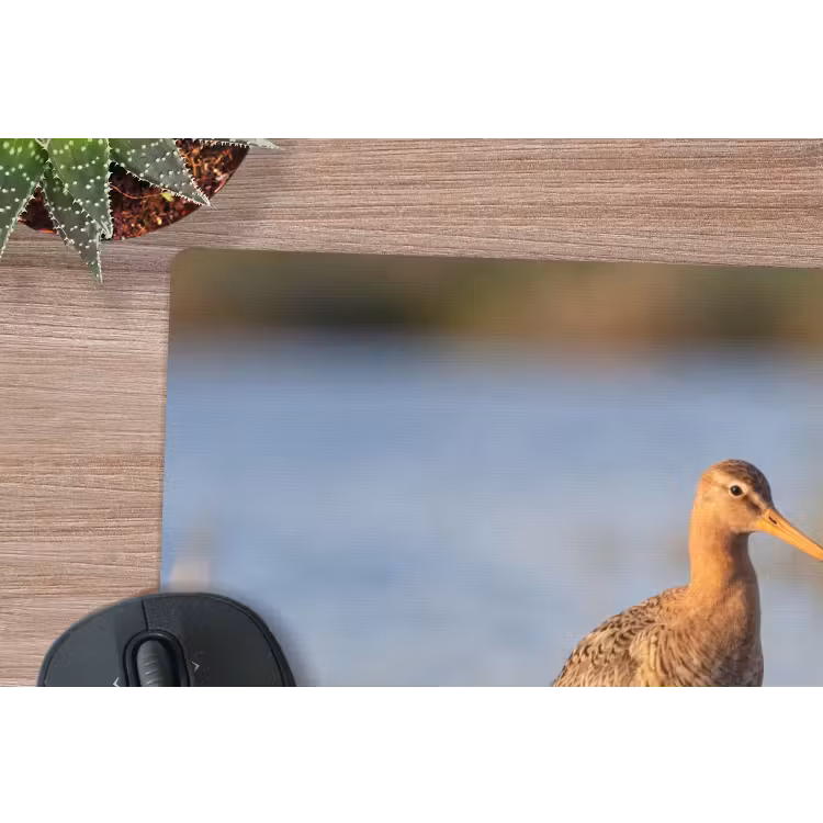 Vogel - Steltloper - Water - Natuur muismat rubber klein -closeup