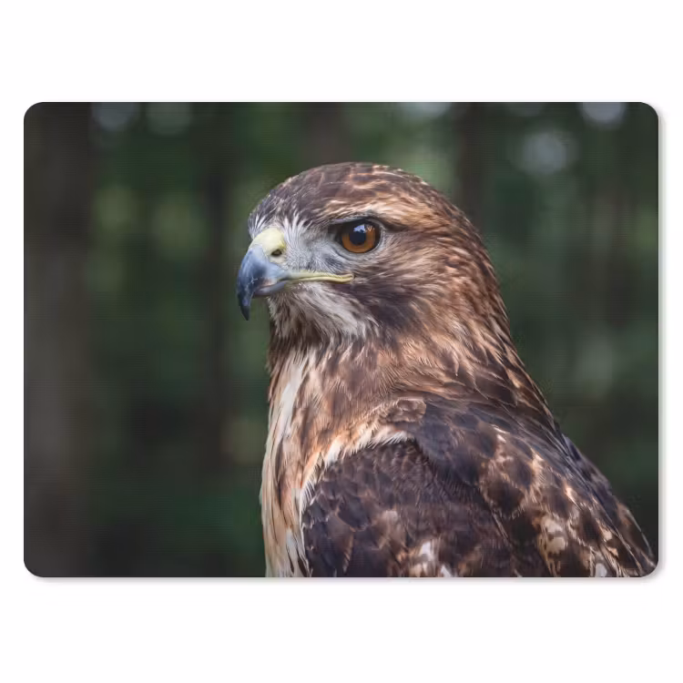 Buizerd - Roofvogel - Natuur - Bruin muismat rubber klein -3d