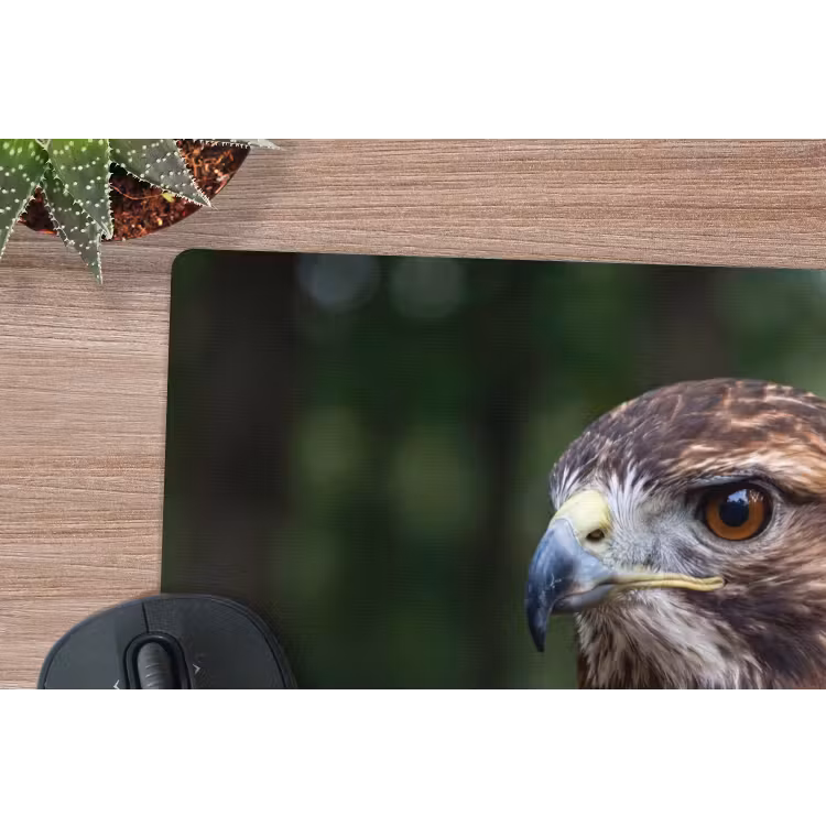Buizerd - Roofvogel - Natuur - Bruin muismat rubber klein -closeup