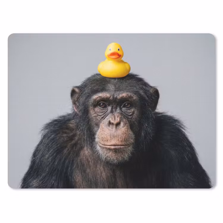 Chimpansee - Badeend - Grijs muismat rubber klein -3d