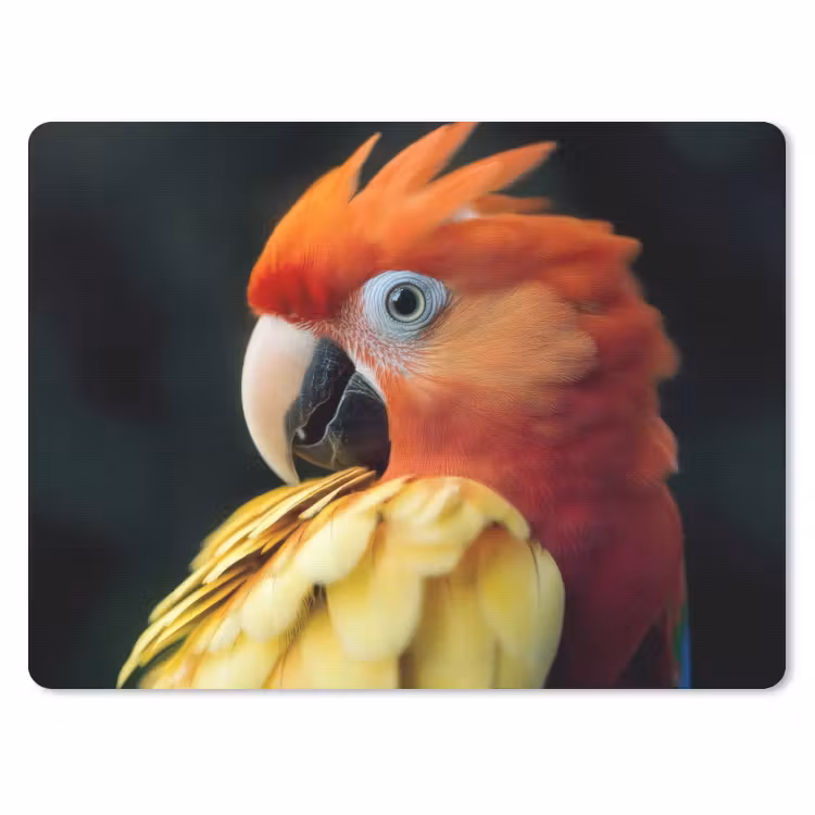 Close-up - Papegaai - Veren - Oranje muismat rubber klein -3d