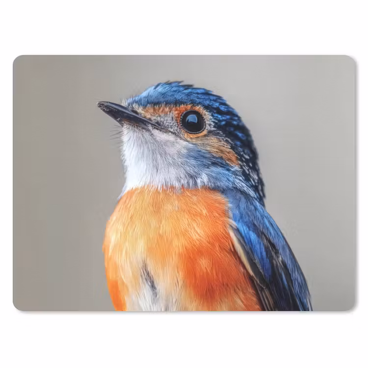 Kleurrijk - Vogeltje - Veren - Blauw muismat rubber klein -3d