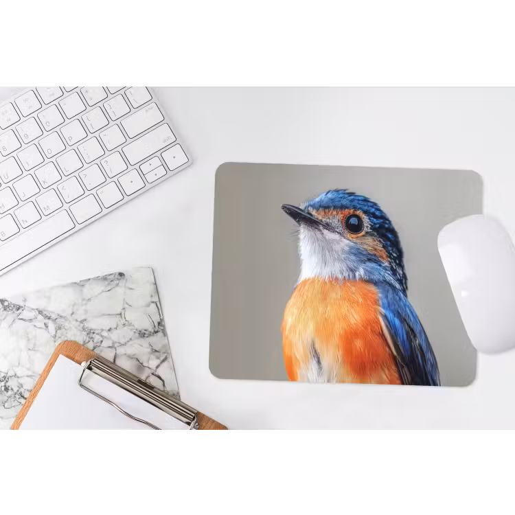 Kleurrijk - Vogeltje - Veren - Blauw muismat rubber klein -witbureau