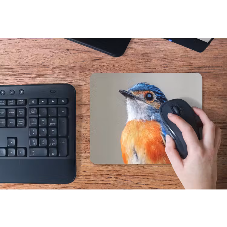 Kleurrijk - Vogeltje - Veren - Blauw muismat rubber klein -toetsenbord