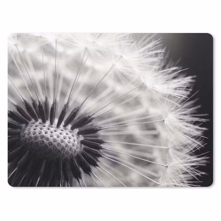 Paardenbloem - Zwart - Wit muismat rubber klein -3d