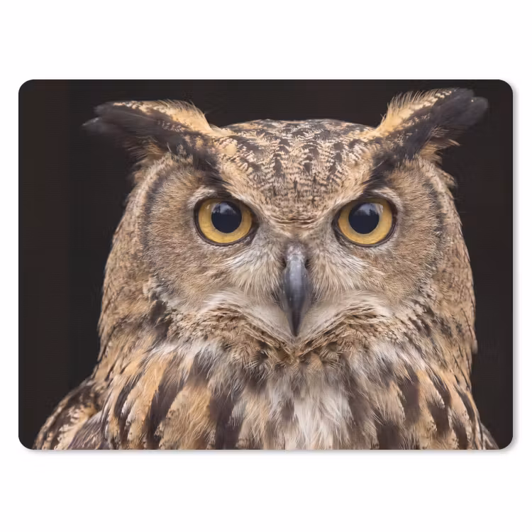 Oehoe - Uil - Portret - Bruin muismat rubber klein -3d