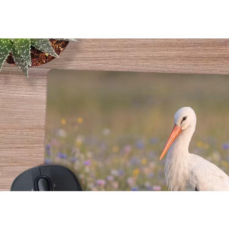 Ooienvaar - Bloemen - Weide - Kleurrijk muismat rubber klein -closeup