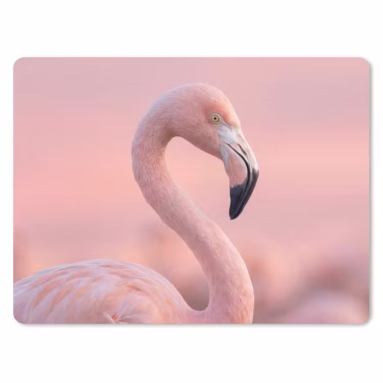 Flamingo - Portret - Roze muismat rubber klein -3d
