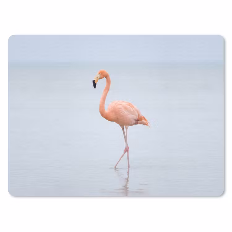 Flamingo - Zee - Roze muismat rubber klein -3d