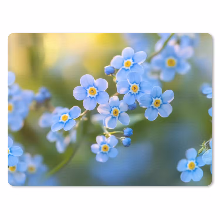 Bloemetjes - Blauw - Vergeet mij nietjes muismat rubber klein -3d