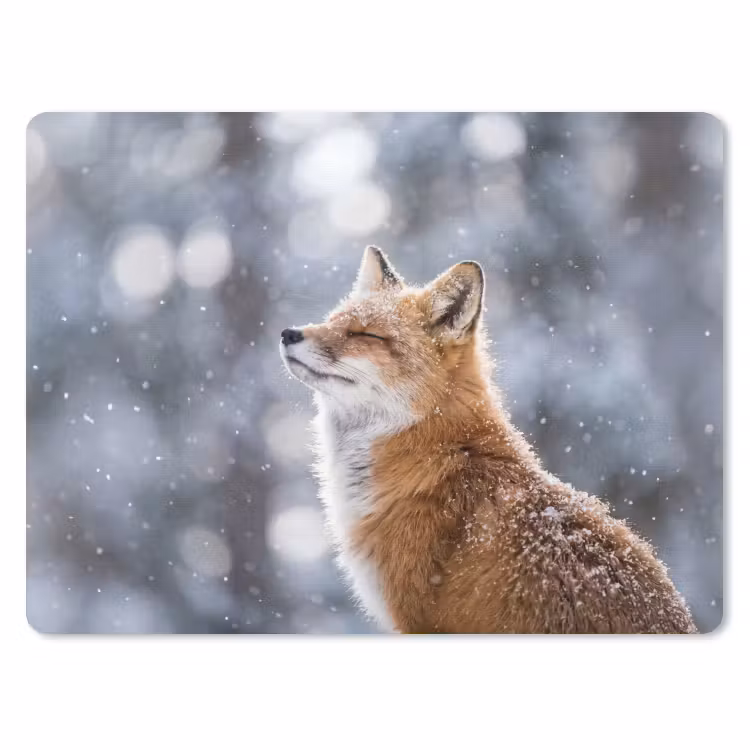 Vos - Sneeuwval - Portret - Winter - Sfeervol muismat rubber klein -3d