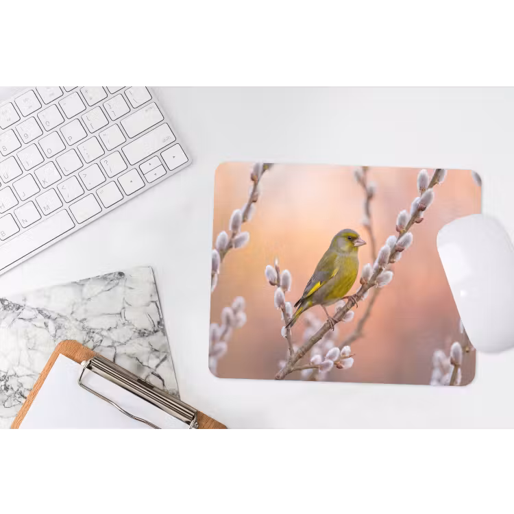 Groenling - Katjes - Lente - Natuur - Zacht muismat rubber klein -witbureau