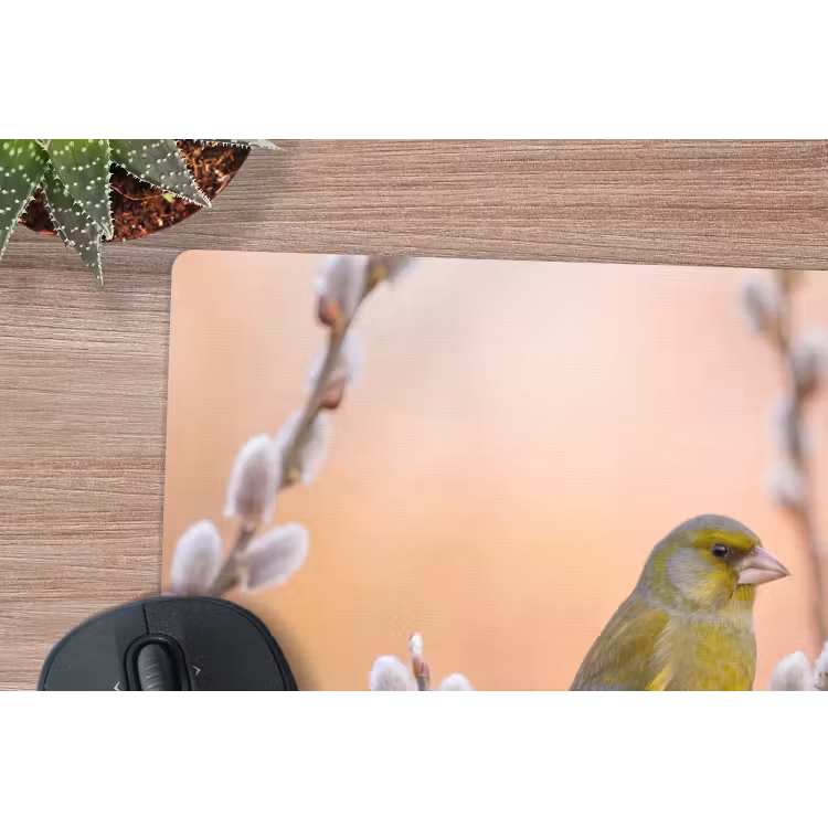 Groenling - Katjes - Lente - Natuur - Zacht muismat rubber klein -closeup