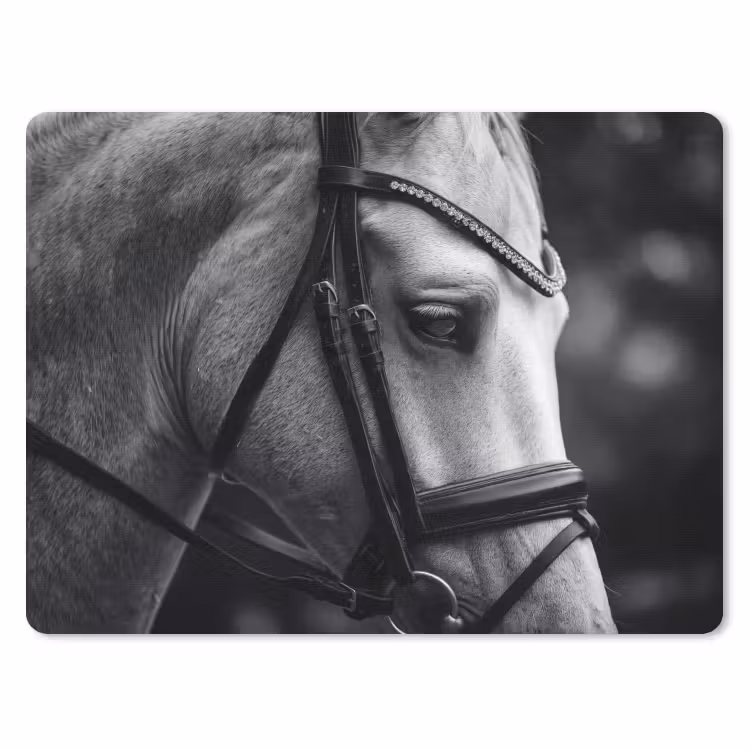 Paard - Schimmel - Portret muismat rubber klein -3d